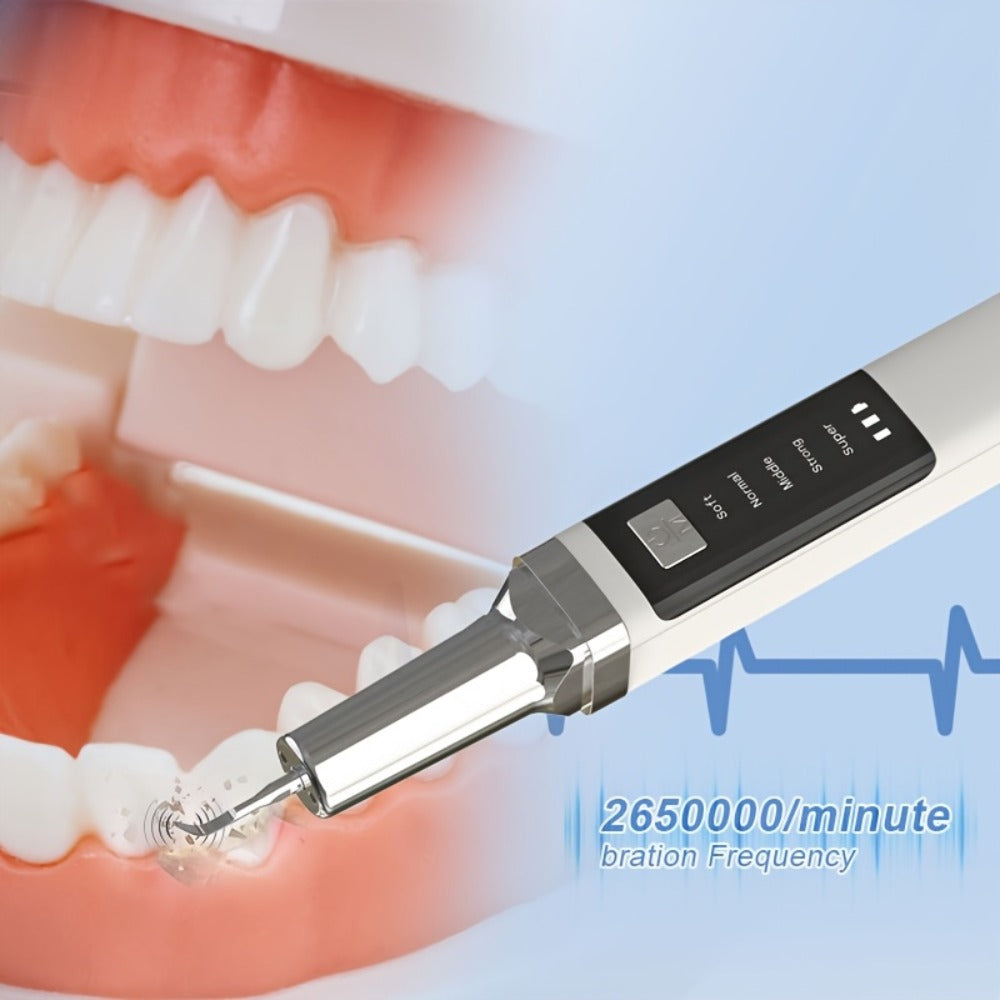 Electric Teeth Cleaner Kit with 2 LED Lights & Mirror ¨C 5 Adjustable Modes, 2 Replaceable Heads, Type-C Rechargeable Dental Plaque Remover & Tartar Scraper for Home Teeth Cleaning