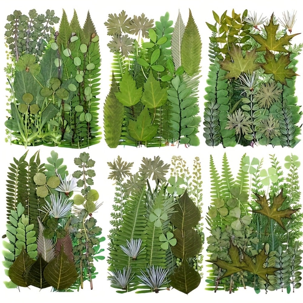 Dried Flower Material Pack 120pcs, Real Pressed Dried Flowers and Leaves for DIY Resin Phone Case Coaster Photo Frame Bookmark Greeting Card Candle Making Jewelry Craft Supplies