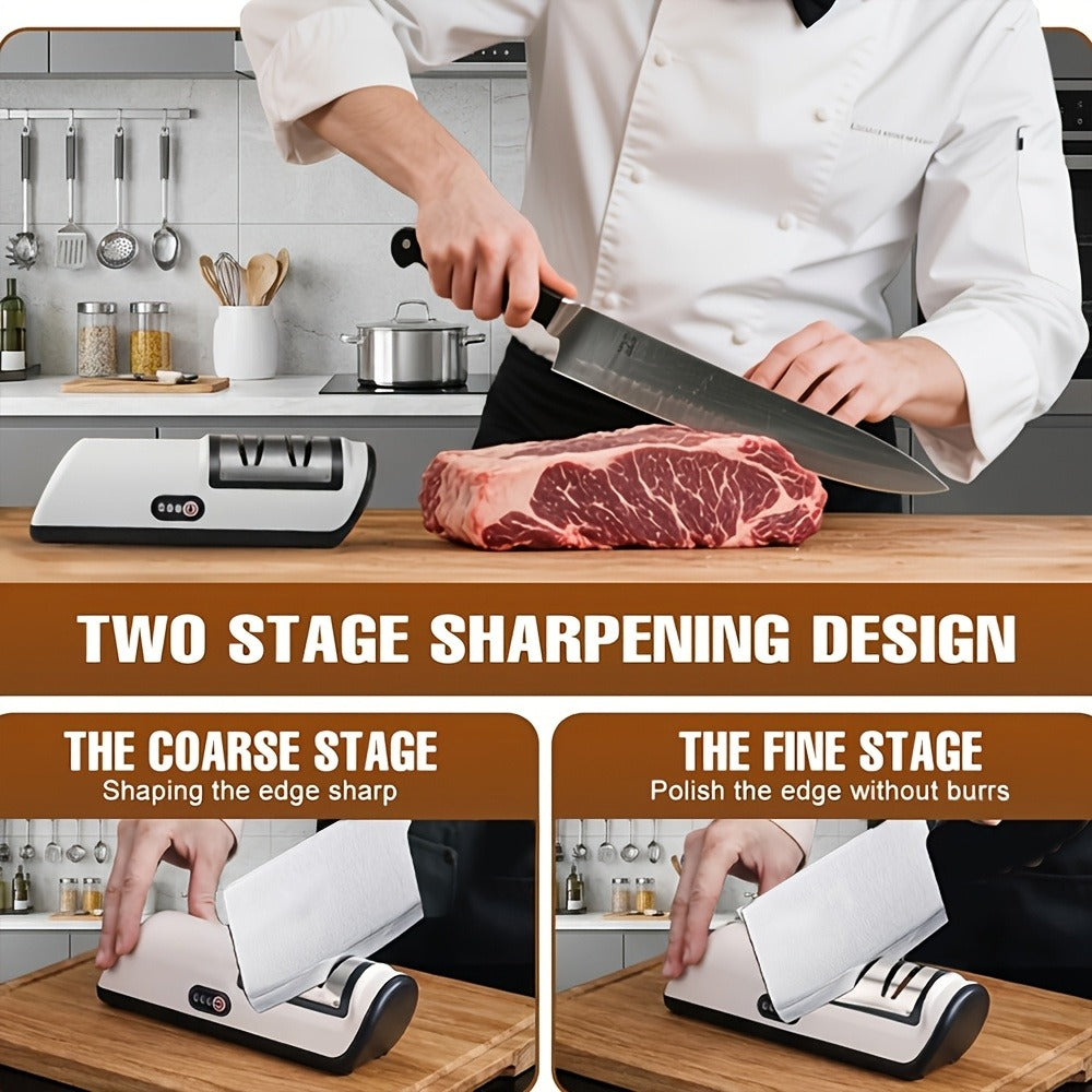 Electric Knife Sharpener 2-Stage ¨C Automatic Professional Kitchen Knife Sharpener with Built-In Guides & Sanding Wheel for All Knives, Santoku, Fillet, Chef & Hunting Blades