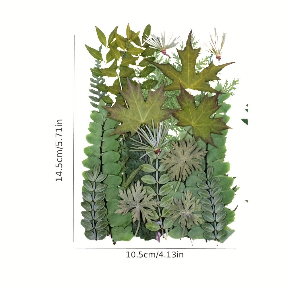 Dried Flower Material Pack 120pcs, Real Pressed Dried Flowers and Leaves for DIY Resin Phone Case Coaster Photo Frame Bookmark Greeting Card Candle Making Jewelry Craft Supplies