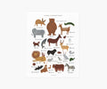 Animal Alphabet Chart Art Print