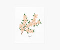 Dogwood Art Print