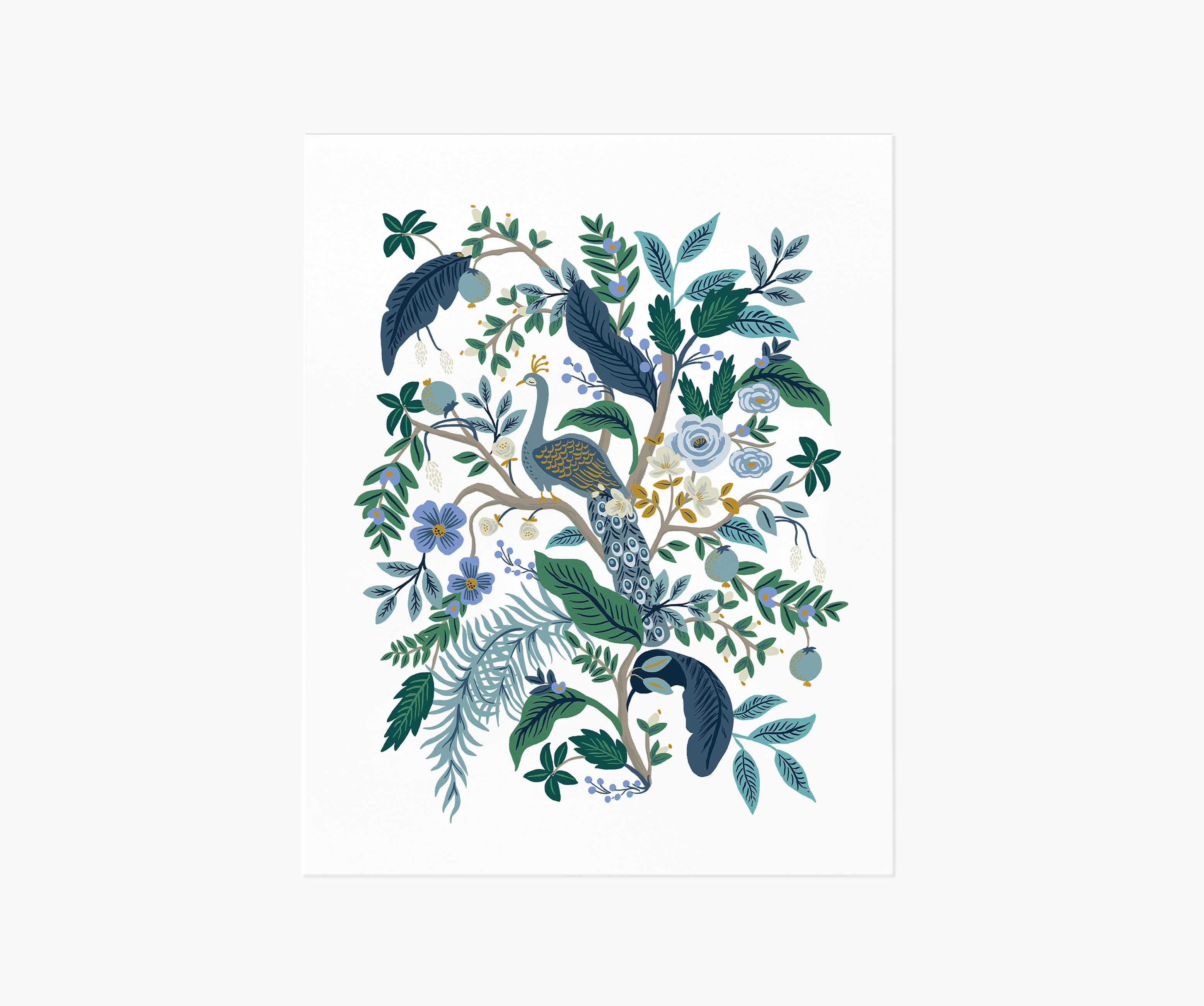 Peacock Art Print