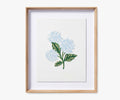 Framed Wall Art - Hydrangea Cream