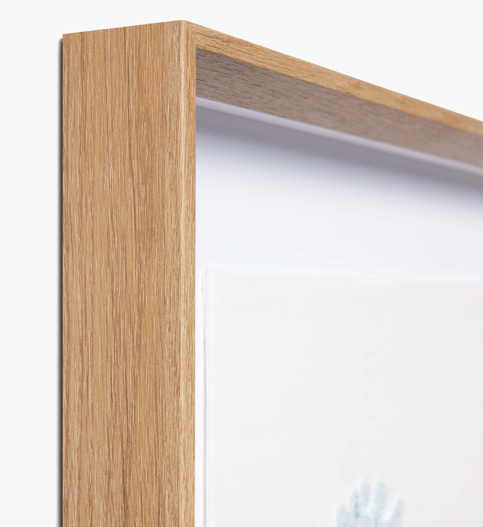 Framed Wall Art - Hydrangea Cream