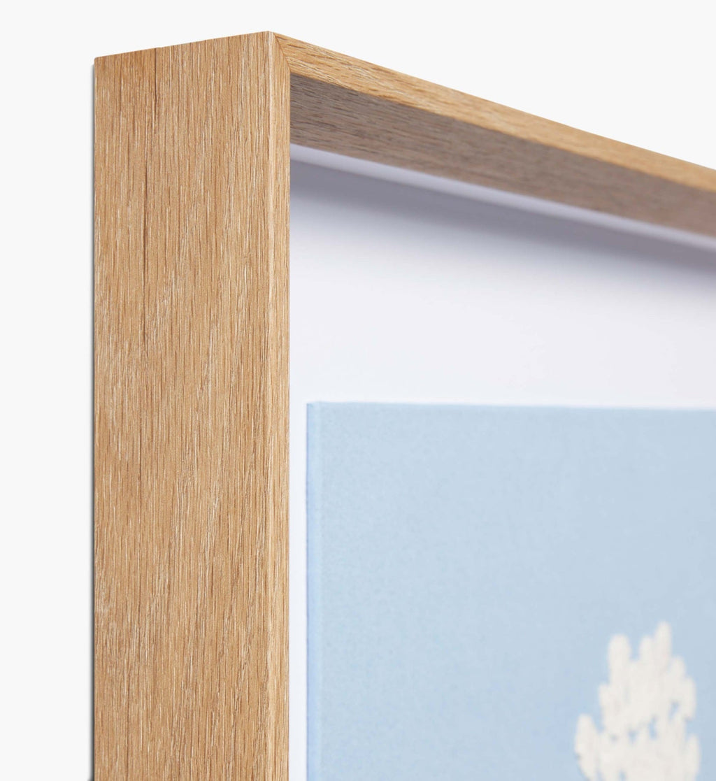 Framed Wall Art - Hydrangea Blue