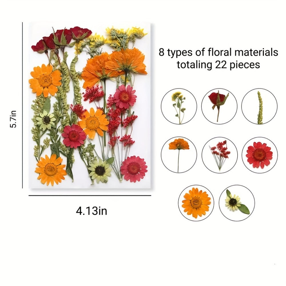 Dried Flower Set for Crafts ¨C Real Pressed Flowers for Resin, Scrapbooking, Epoxy Jewelry, Bookmarks, Wedding Cards & Art Decoration, 189 / 238 / 287 / 319 Pieces Mixed Variety Pack