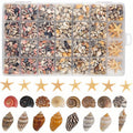 Tiny Seashells Starfish Bulk Set Beach Decor Crafts Vase Filler