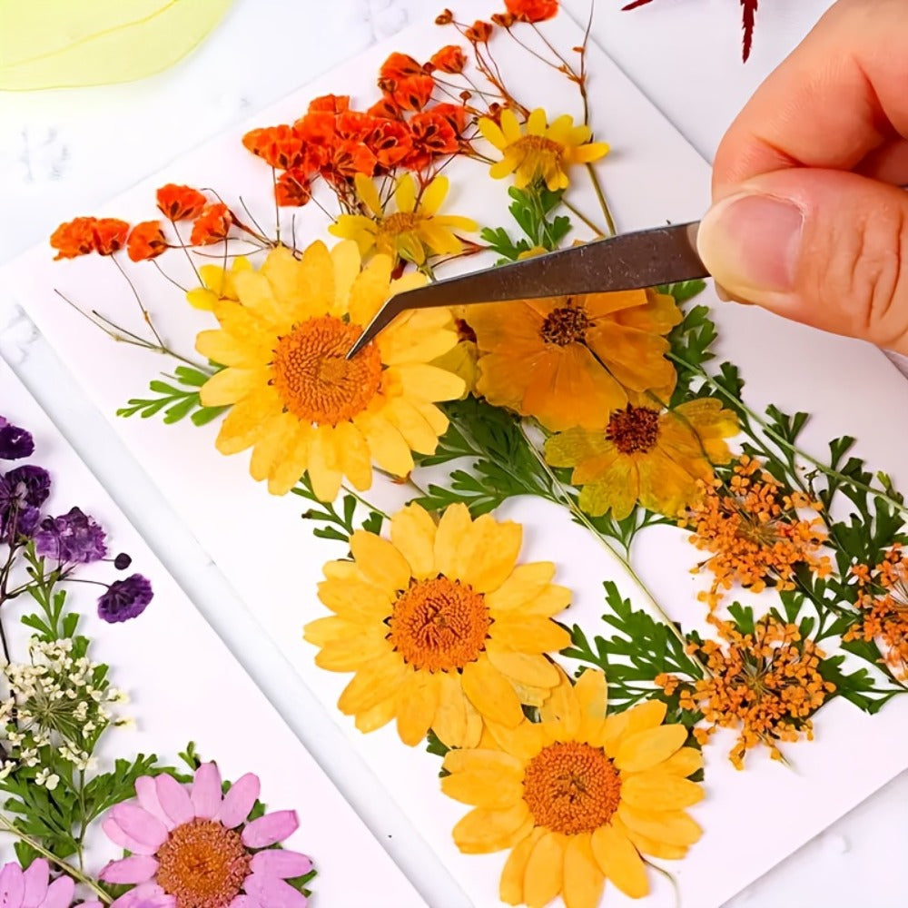 Dried Flower Set for Crafts ¨C Real Pressed Flowers for Resin, Scrapbooking, Epoxy Jewelry, Bookmarks, Wedding Cards & Art Decoration, 189 / 238 / 287 / 319 Pieces Mixed Variety Pack