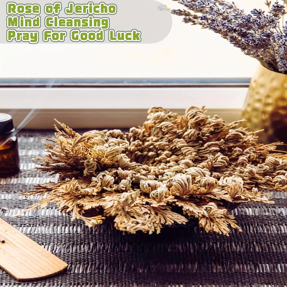 Rose of Jericho 20pcs - Selaginella Lepidophylla Dried Prayer Plants for Spiritual Purification, Home Decor & Luck - Sacred Resurrection Fern Gift Set