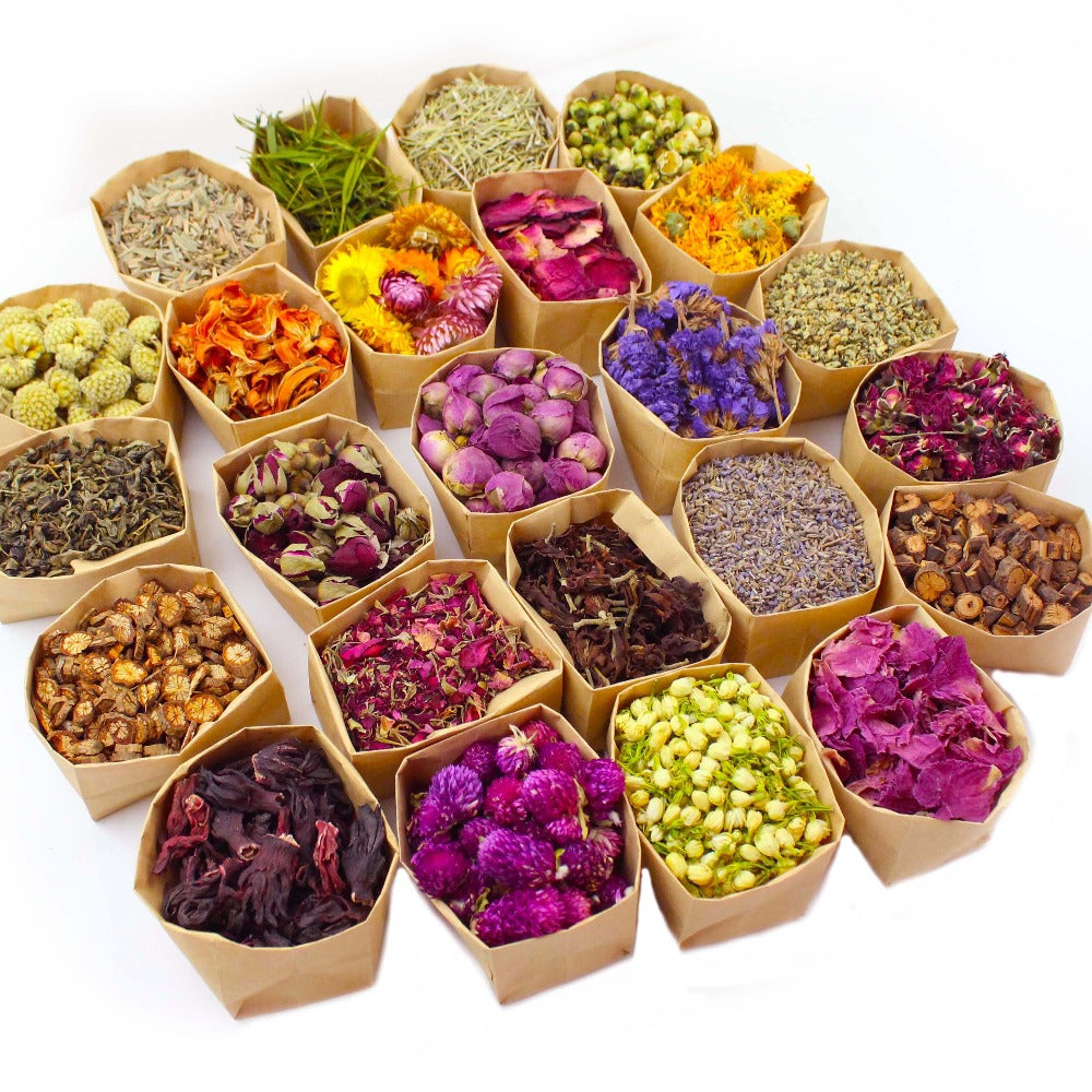Dried Flowers Craft Set 24 Packs Natural Dried Botanicals for Resin Jewelry Making DIY Candle Soap Scrapbook Seasonal Decor Roses Lavender Jasmine Peony Forget-Me-Not Mixed Flower Kit