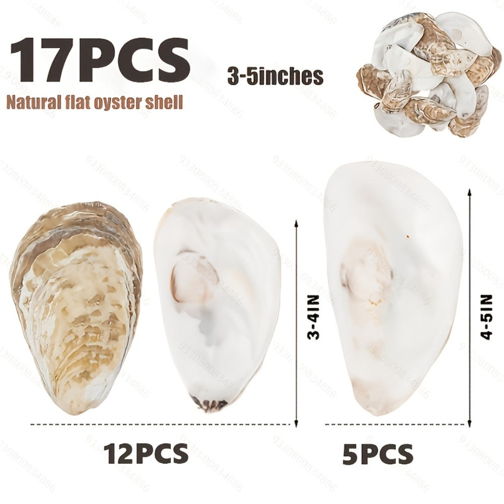 Natural Flat Oyster Shells for Crafts ¨C 17pcs 3-5in Disk Shaped Sea Shells, Vase Filler, DIY Arts & Crafts, Christmas Ornaments, Home Decor, Beach Wedding Decoration