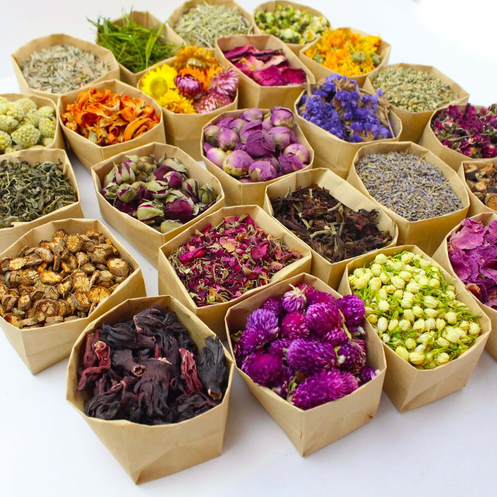 Dried Flowers Craft Set 24 Packs Natural Dried Botanicals for Resin Jewelry Making DIY Candle Soap Scrapbook Seasonal Decor Roses Lavender Jasmine Peony Forget-Me-Not Mixed Flower Kit