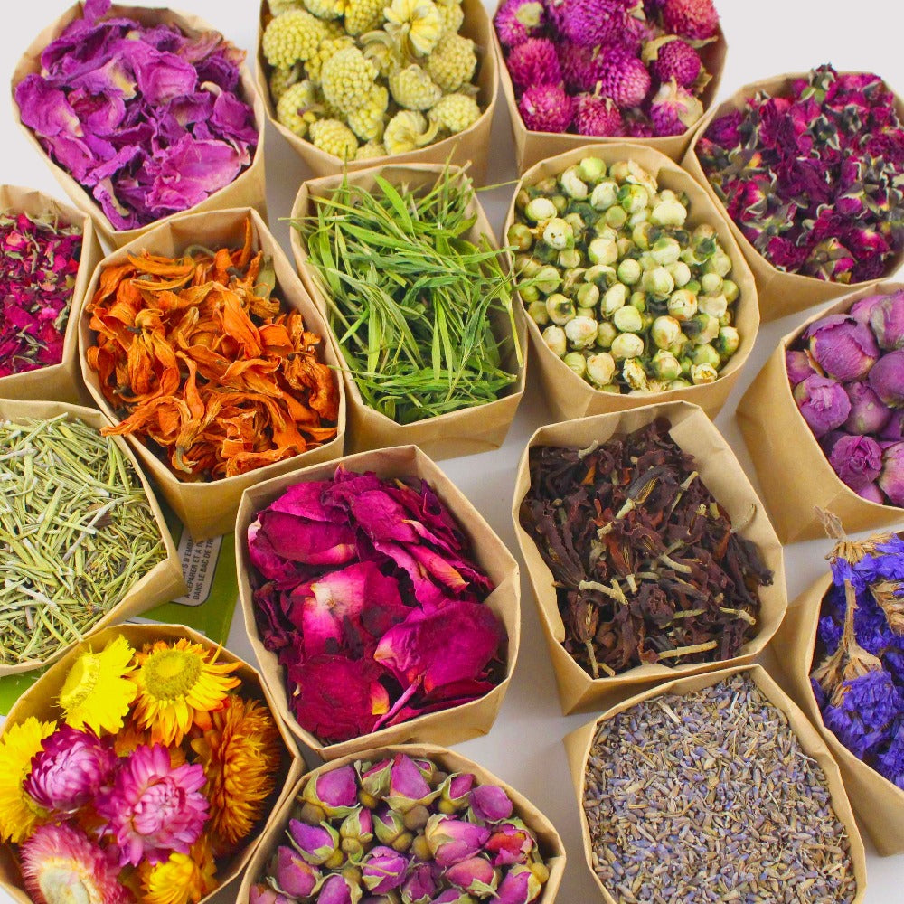 Dried Flowers Craft Set 24 Packs Natural Dried Botanicals for Resin Jewelry Making DIY Candle Soap Scrapbook Seasonal Decor Roses Lavender Jasmine Peony Forget-Me-Not Mixed Flower Kit