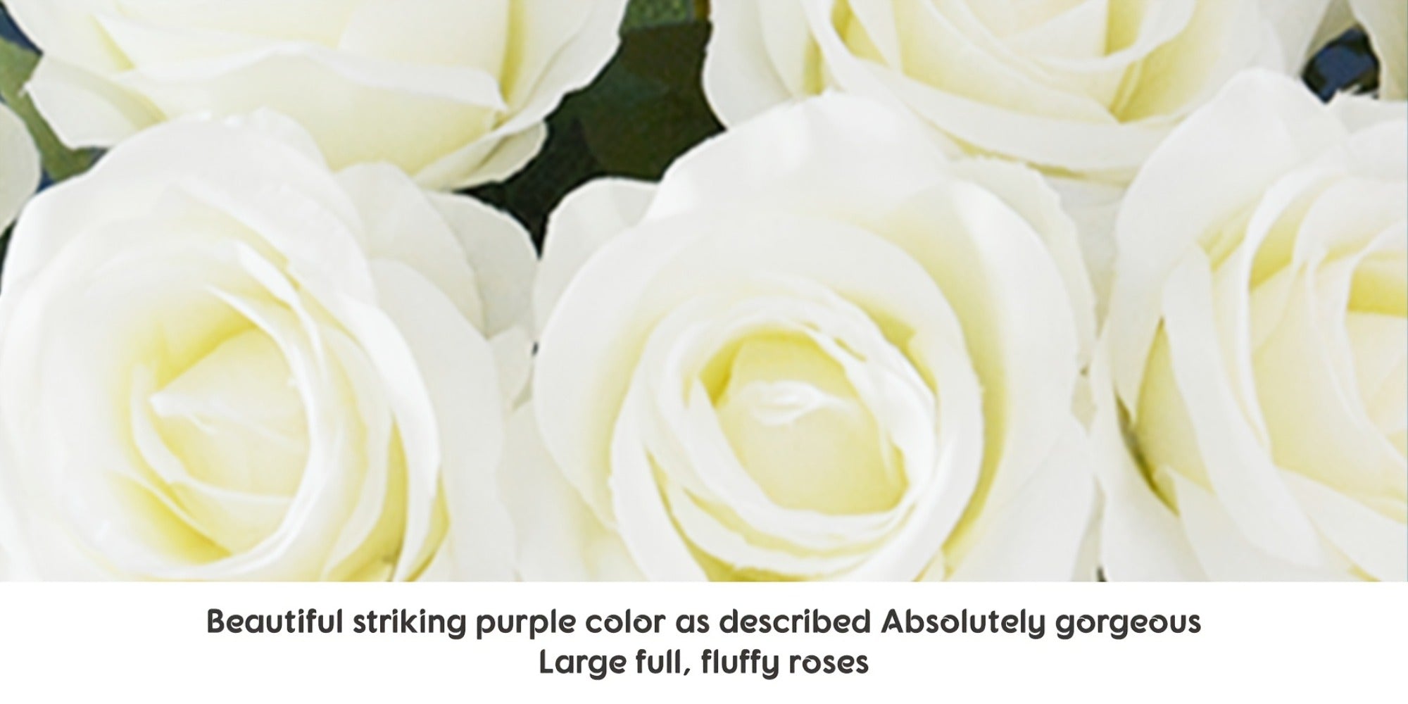 10pcs Artificial Silk Roses Bulk - Fake Flowers for Wedding Home Decor, 19.69¡± Long Stem, Deep Purple & Dark Green
