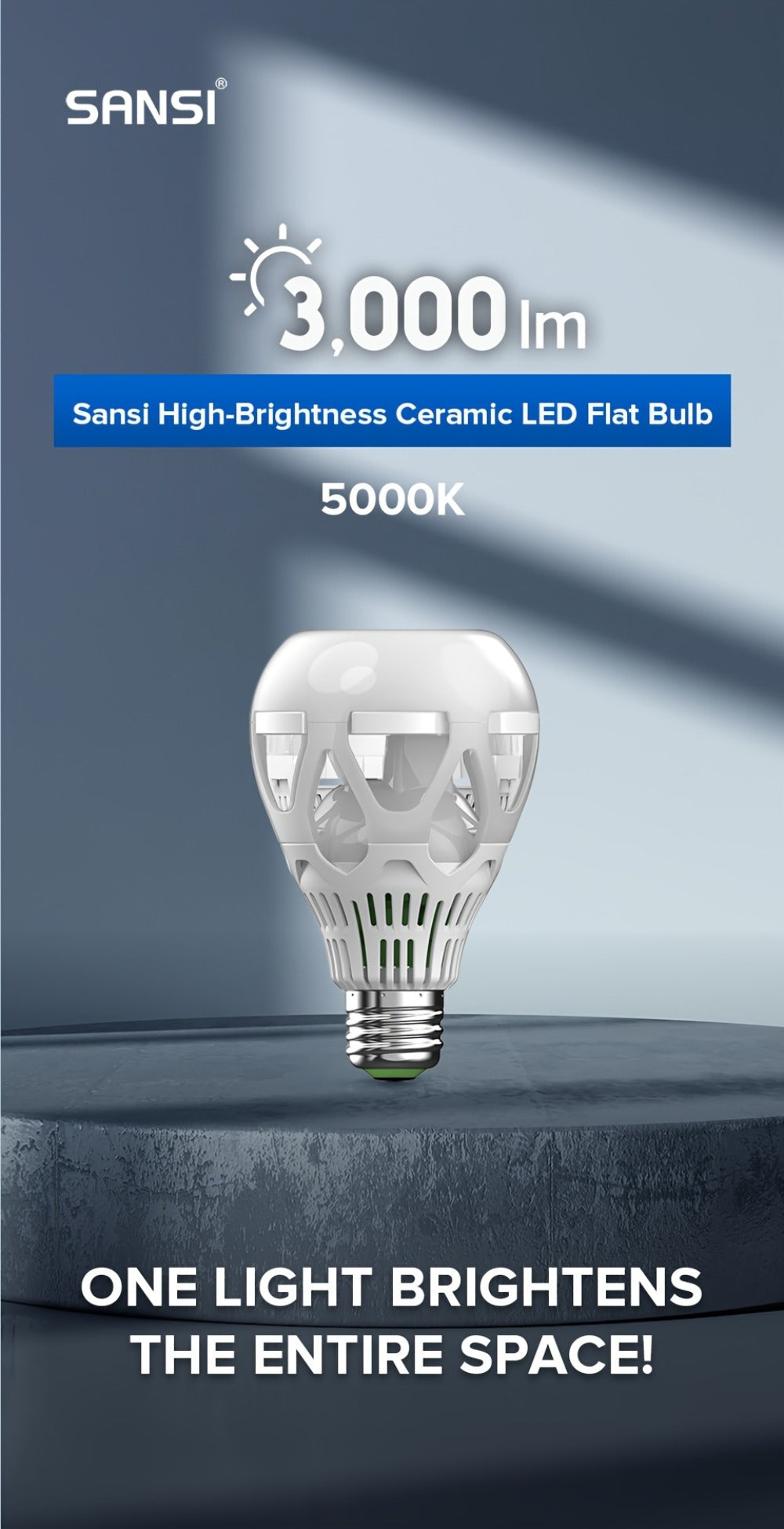 A21 LED Light Bulb 22W 3000 Lumens 200W Equivalent High Brightness Non-Dimmable ¨C E26 Base 3000K Warm White & 5000K Daylight for Home Office Garage Workshop Indoor Lighting, 4-Pack