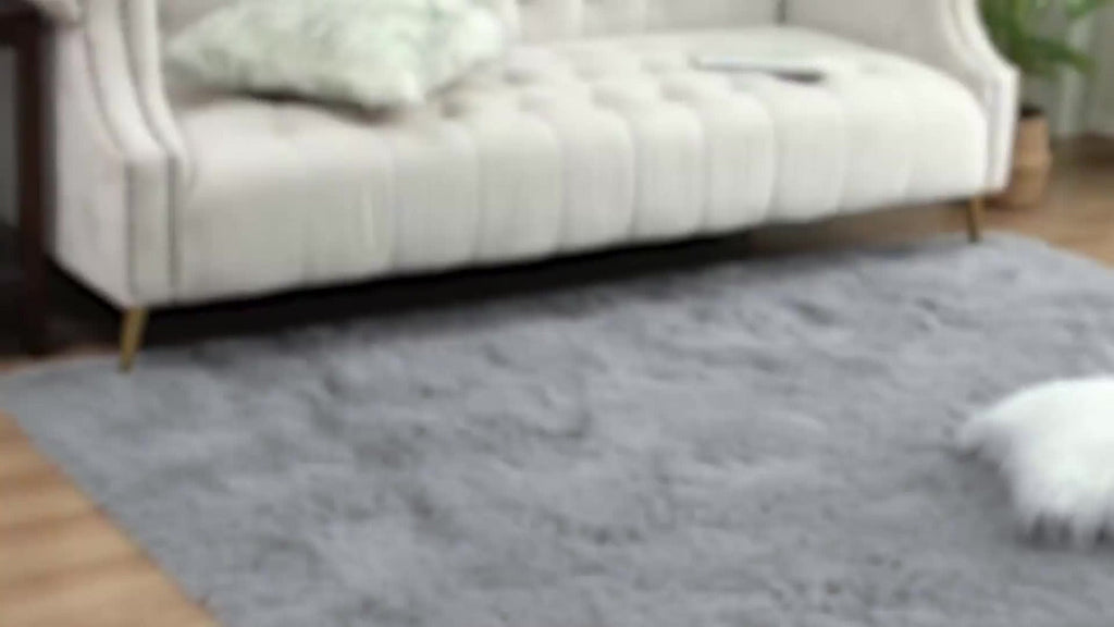 Shaggy Area Rug 4x6 - Soft Plush Non-Slip Indoor Carpet for Living Room Bedroom, Machine Washable Floor Mat in Navy White Beige Black Grey
