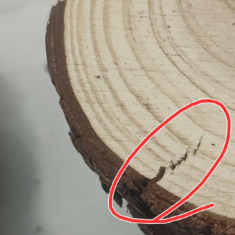 Wood Slices 28 Pcs Natural Log Bark Rounds for Crafts DIY Centerpieces Christmas Ornaments Wreaths Wedding Decor Painting Woodworking 2.76-3.54 Inch with or without Holes