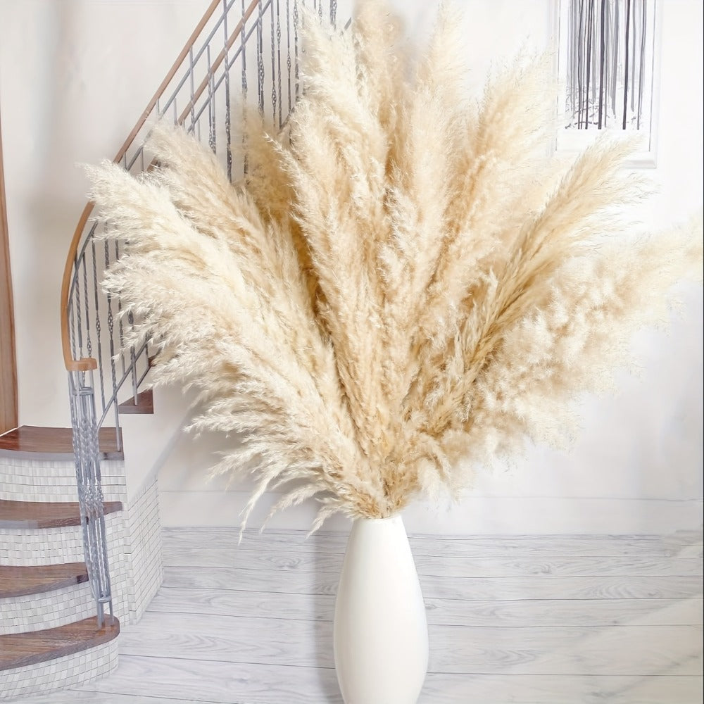 Pampas Grass Decor 10 Stalks 45 Inch Tall Natural Dried Fluffy Plumes for Floor Vase, Living Room, Boho Wall Decor & High-End Home Decoration