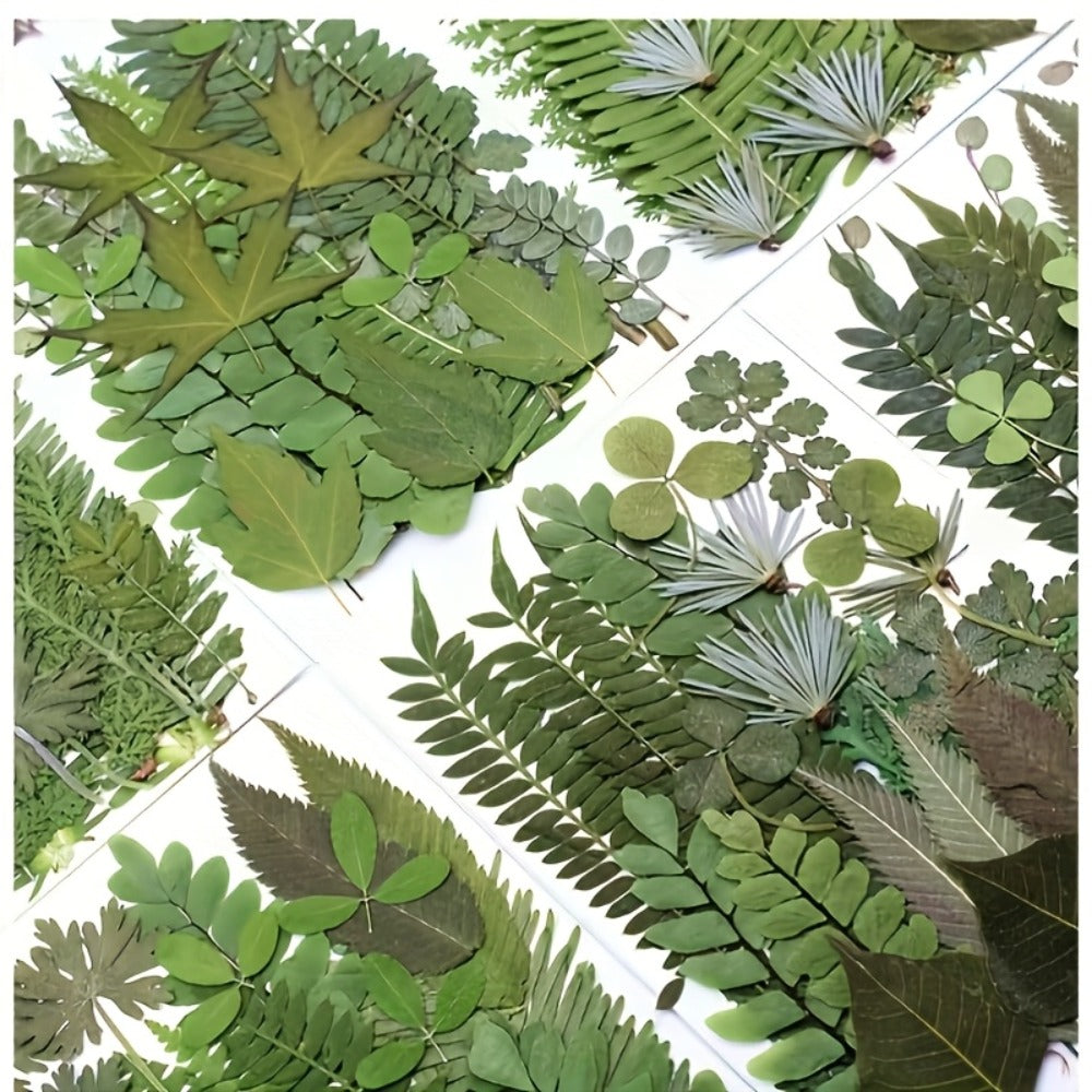 Dried Flower Material Pack 120pcs, Real Pressed Dried Flowers and Leaves for DIY Resin Phone Case Coaster Photo Frame Bookmark Greeting Card Candle Making Jewelry Craft Supplies