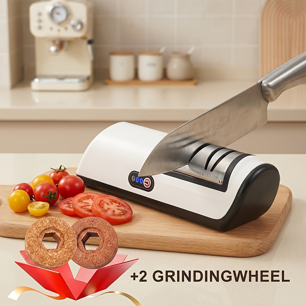Electric Knife Sharpener 2-Stage ¨C Automatic Professional Kitchen Knife Sharpener with Built-In Guides & Sanding Wheel for All Knives, Santoku, Fillet, Chef & Hunting Blades
