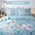 Floral Quilt Set Lightweight Bedspread Coverlet 2 or 3-Piece, All Season Hypoallergenic Breathable Paisley Patchwork Print Quilt for Bedroom Guest Room Dorm RV Cabin, Twin Queen King, Shabby Chic