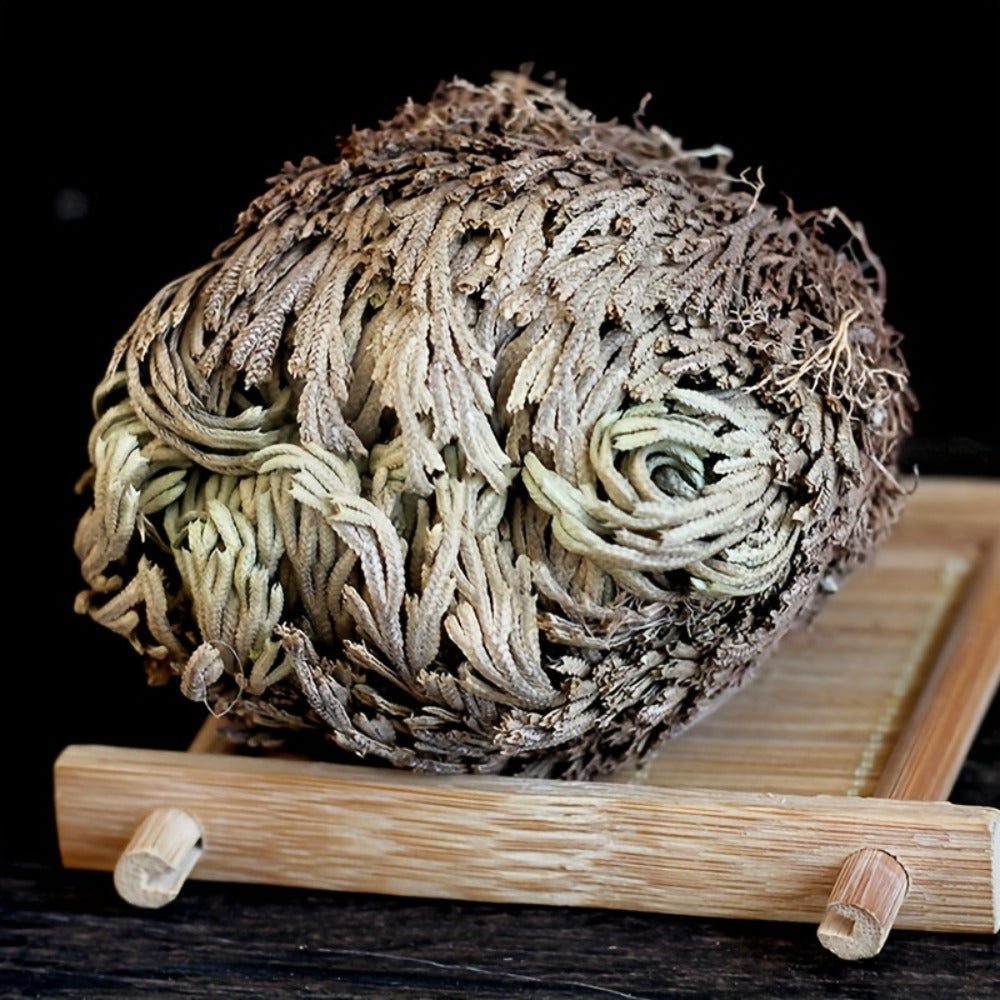Rose of Jericho 20pcs - Selaginella Lepidophylla Dried Prayer Plants for Spiritual Purification, Home Decor & Luck - Sacred Resurrection Fern Gift Set