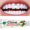 Herbal Toothpaste with Clove & Mint ¨C Fluoride Free Deep Cleaning Whitening Toothpaste for Sensitive Gums, Natural Breath Freshener with Herbal Extracts, Daily & Travel Oral Care for Adults & Kids