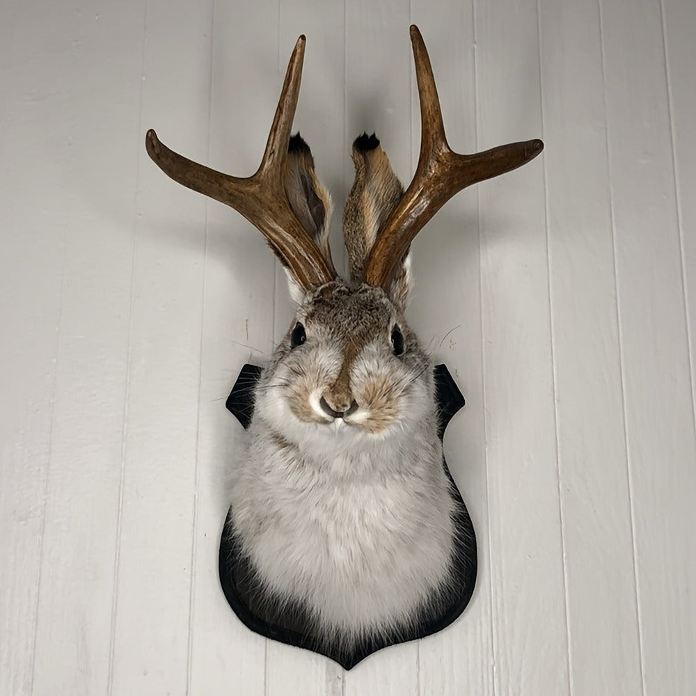Jackalope Wall Mount Faux Taxidermy Rabbit Head with Antlers - Whimsical 3D Resin Animal Wall Art for Home, Living Room & Office Decor | Retro Fauxidermy Gift for Birthday, Housewarming & Christmas