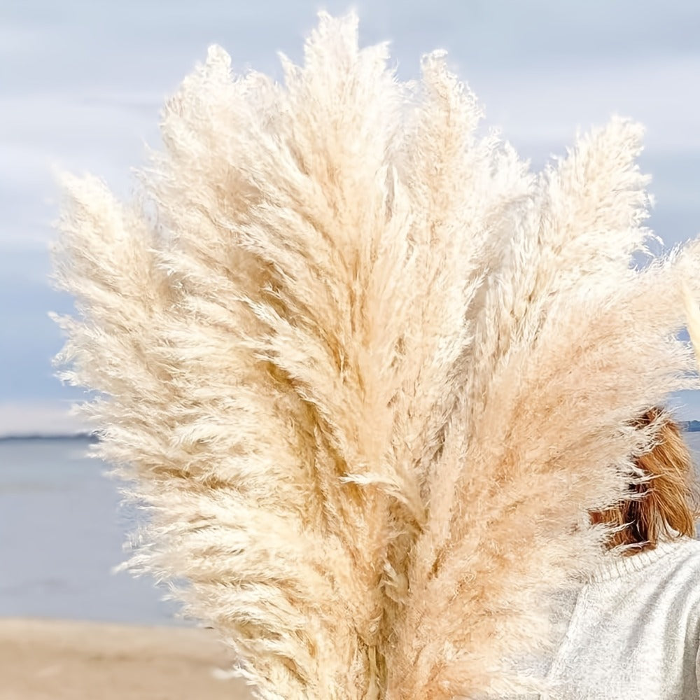 Natural Pampas Grass Decor 40 Inch Tall Dried Pampas Grass Stems for Vase Wedding Boho Farmhouse Home Decor Living Room Floor Arrangement
