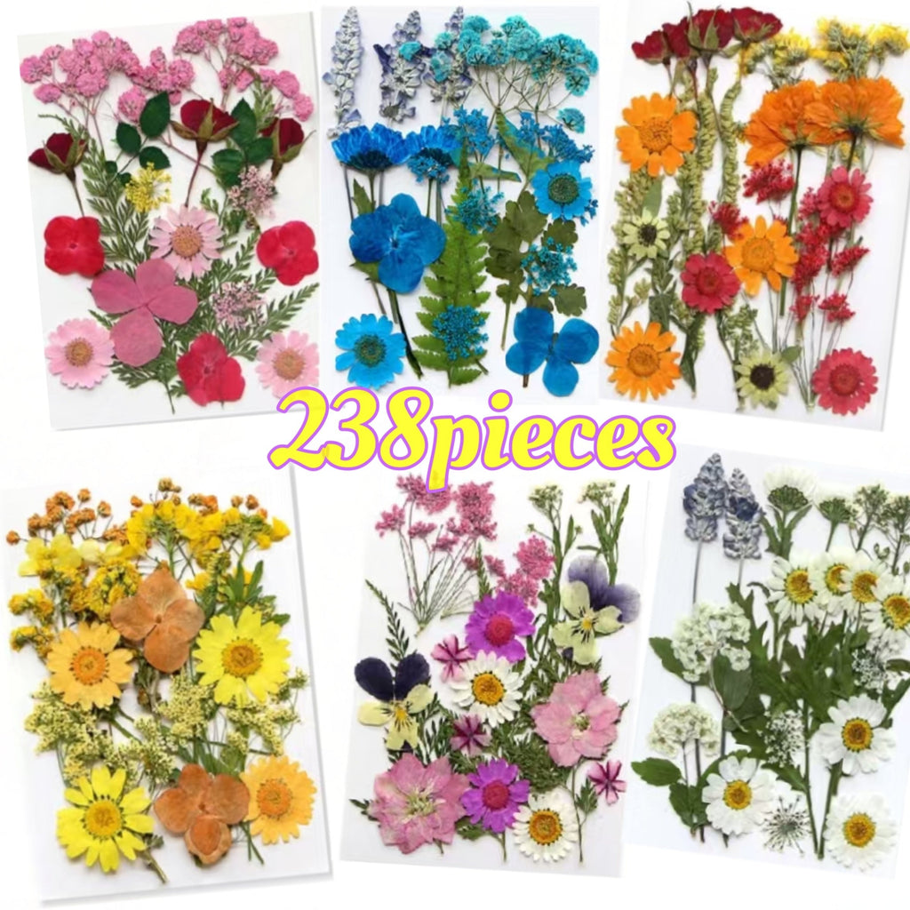Dried Flower Set for Crafts ¨C Real Pressed Flowers for Resin, Scrapbooking, Epoxy Jewelry, Bookmarks, Wedding Cards & Art Decoration, 189 / 238 / 287 / 319 Pieces Mixed Variety Pack