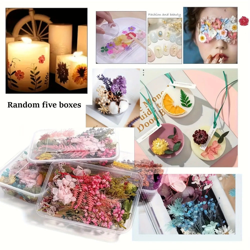 Dried Flowers 4 Boxes Mixed Colors - Natural Dried Floral Set for Candle Making, Resin Jewelry, Greeting Cards, Photo Frames, Scrapbooking & DIY Craft Decoration