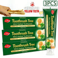 Natural Toothpaste 3-Pack ¨C Herbal Mint Formula for Sensitive Gums & Teeth, Long-Lasting Freshness, Gentle Deep Cleaning Dental Care for Men & Women, Sleek Tube Design with Natural Ingredients