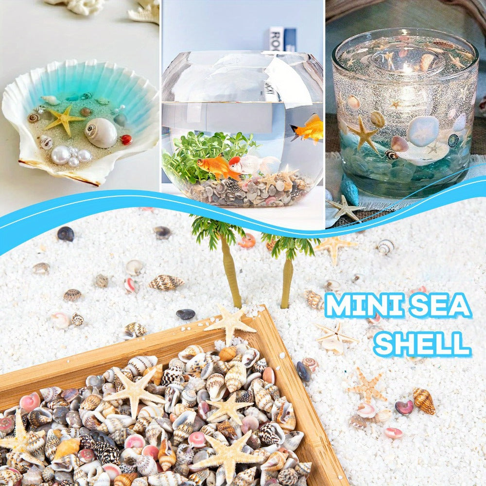 Tiny Seashells Starfish Bulk Set Beach Decor Crafts Vase Filler