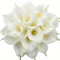 Eternal Lotus Flower Bouquet 20pcs ¨C Horseshoe Lotus Artificial Flowers for Wedding Decoration, Home Floral Arrangements, Outdoor & Festival Decor ¨C White, Black, Red & Orange (No Vase)