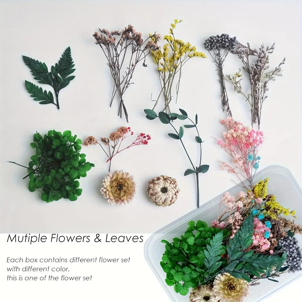 Dried Flowers 4 Boxes Mixed Colors - Natural Dried Floral Set for Candle Making, Resin Jewelry, Greeting Cards, Photo Frames, Scrapbooking & DIY Craft Decoration