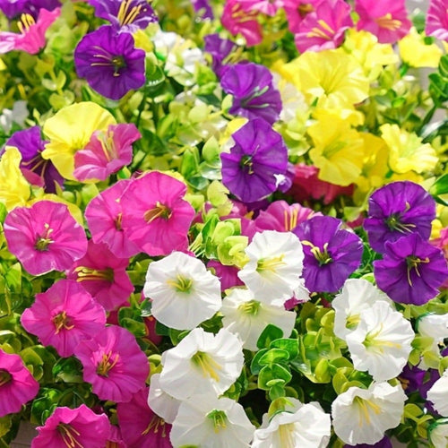 Artificial Flowers Outdoor 10 Bundles Faux Silk Pink Morning Glory - Realistic Fake Flowers for Porch, Patio, Window Box, Front Door, Garden Planter, All-Season Home Decor, Colorful Daisy Arrangement