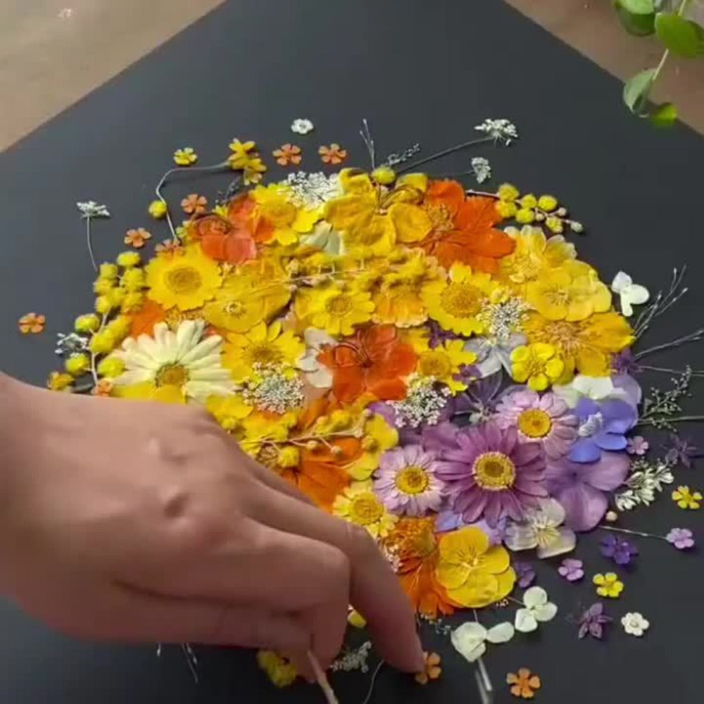 Dried Pressed Flowers Kit 500pcs ¨C Natural Real Flower Petals & Leaves for Resin Art, Nail Art, Jewelry Making, Scrapbooking, Phone Case Decor, Candle Making & DIY Floral Crafts