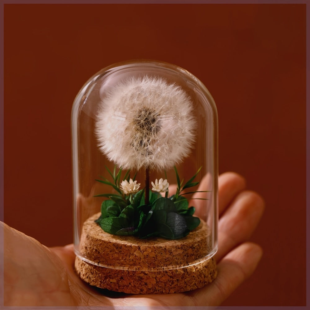 Glass Dome Preserved Dandelion Flower Arrangement - Eternal Floral Keepsake Display Case for Home Office Desk Decor, No Electricity Needed