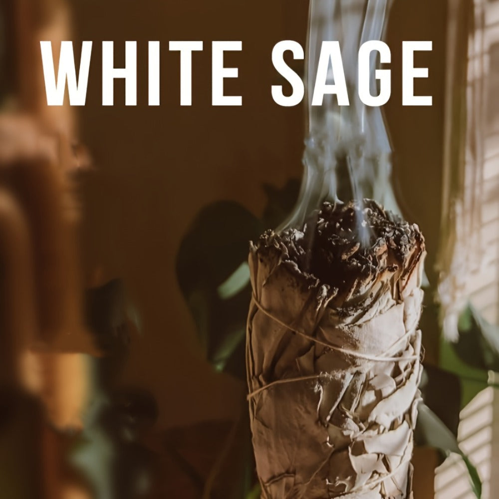 Sage Smudge Kit 5 Pack White Sage Cedarwood Dragon's Blood Eucalyptus Lavender Incense Sticks Set for House Cleansing Meditation Spiritual Purification Home Decor Gift Set for Women Men Beginners