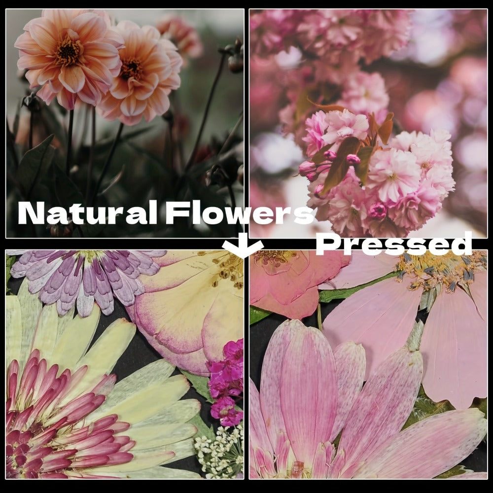 Dried Pressed Flowers for Resin 60pcs Real Pressed Flowers Dry Leaves Bulk Natural Herbs Kit for Scrapbooking DIY Art Crafts, Epoxy Resin Jewelry Molds, Candle Soap Making Nail Decor