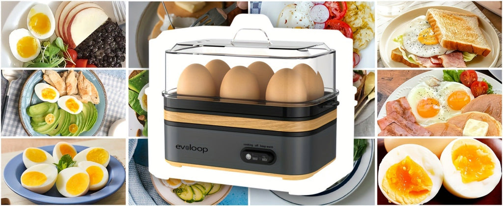 Electric Egg Cooker 6 Egg Capacity Rapid BPA Free Stainless Steel 400W for Hard Boiled Poached Scrambled Eggs Omelets Auto Shut Off Kitchen Appliance Green Wood Silver
