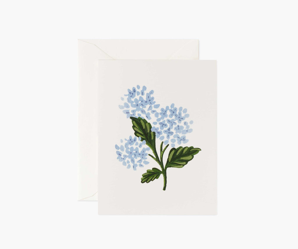 Hydrangea Bloom Everyday Card - Single Card