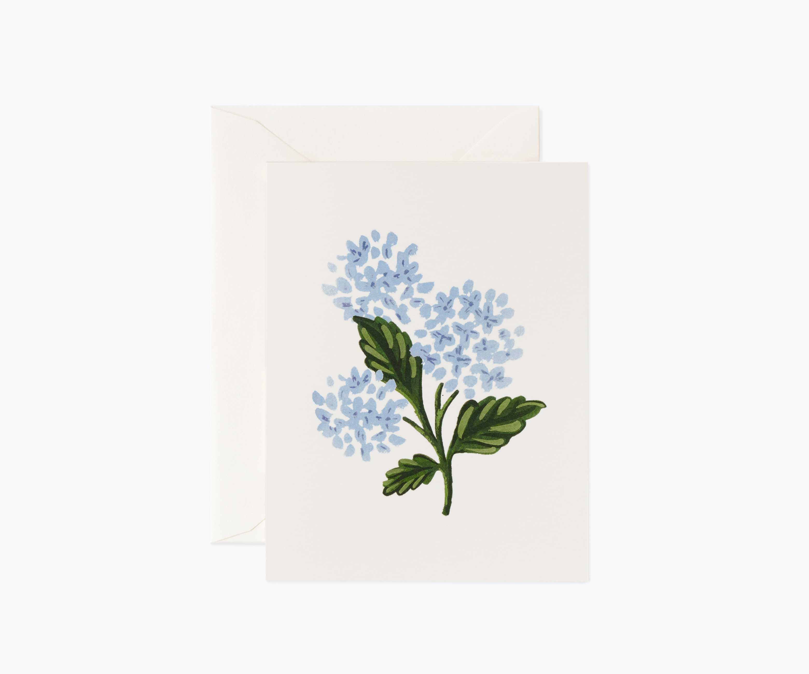Hydrangea Bloom Everyday Card - Single Card