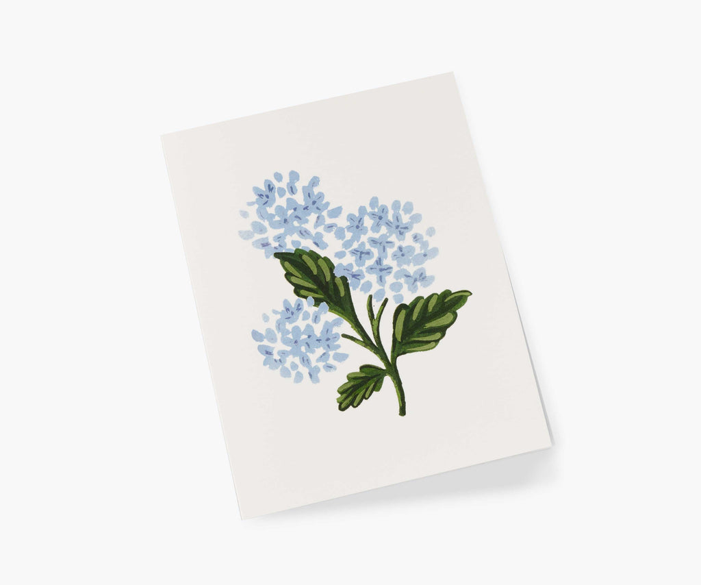 Hydrangea Bloom Everyday Card - Single Card