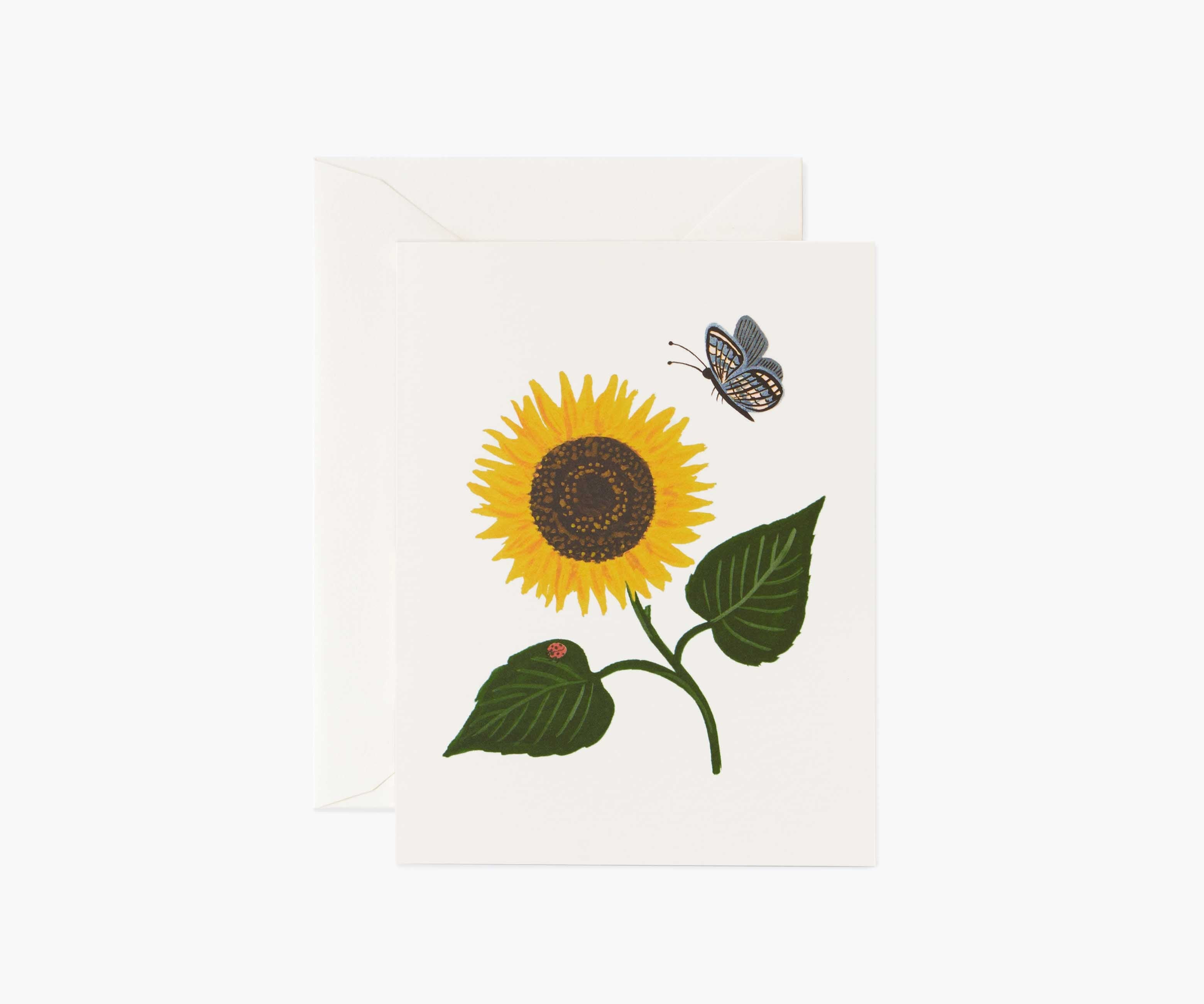 Sunflower Everyday Card - Single Card