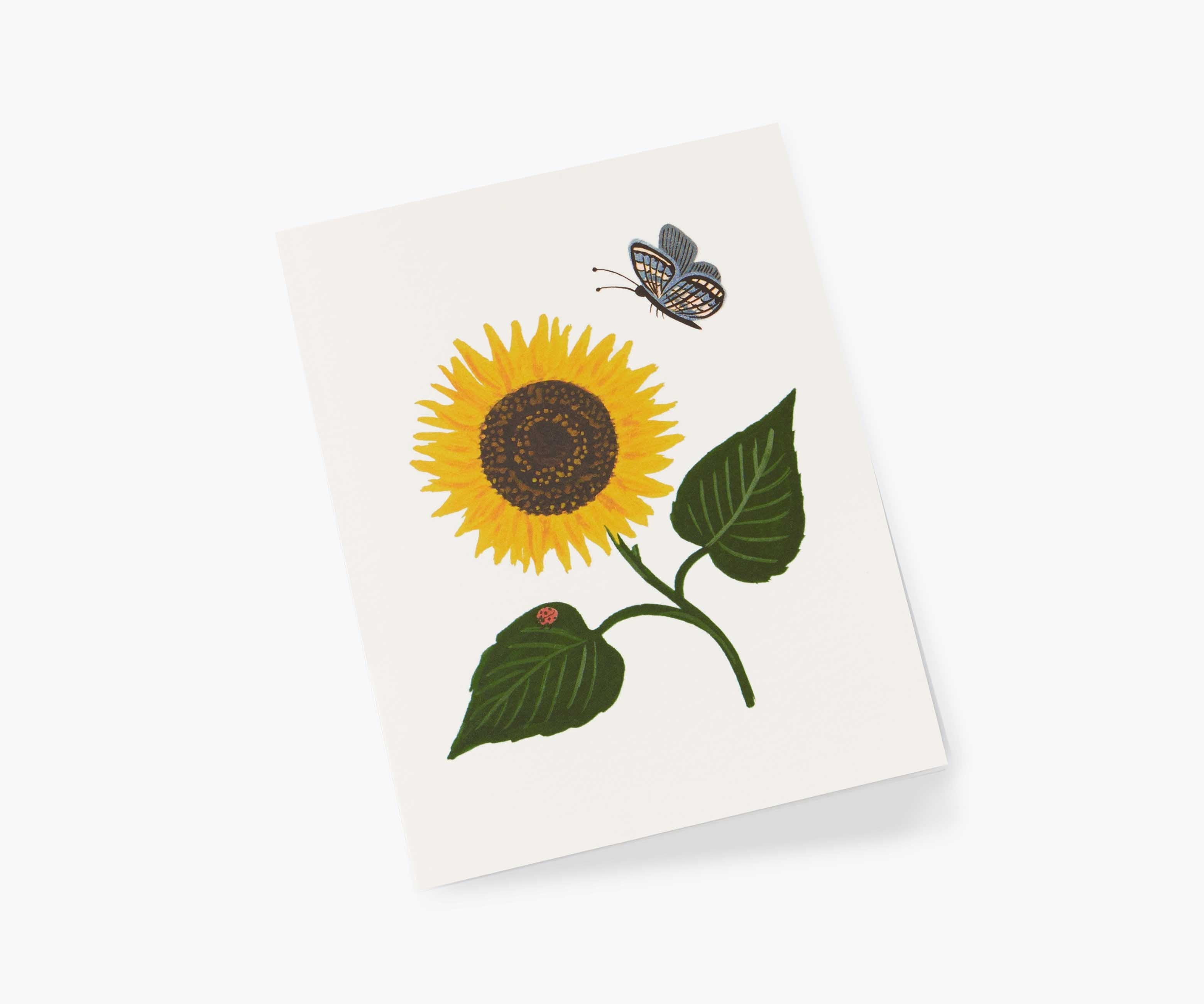 Sunflower Everyday Card - Single Card