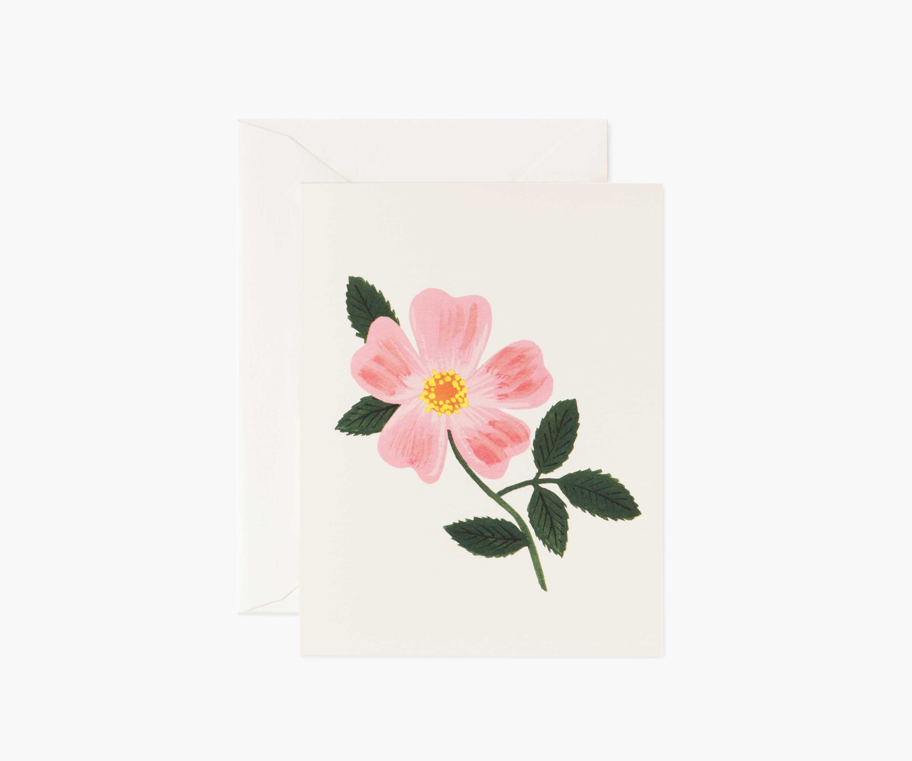 Wild Prairie Rose Everyday Card - Single Card
