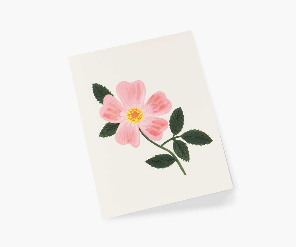 Wild Prairie Rose Everyday Card - Single Card