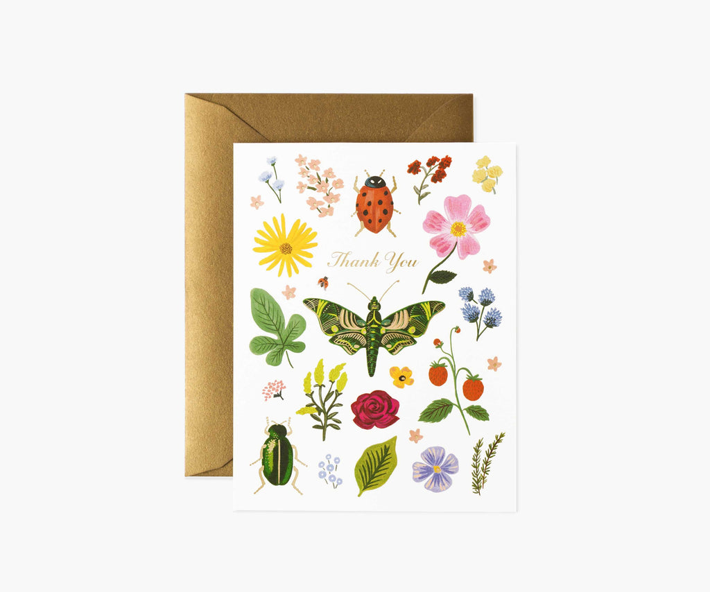 Curio Thank You Card - Single Card